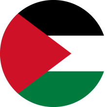 Palestine flag 2