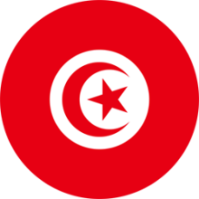 Tunisia flag