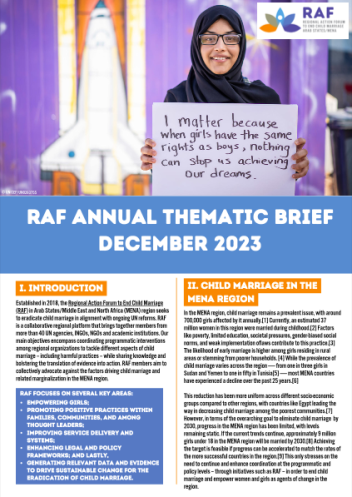 annual thematic brief 2023