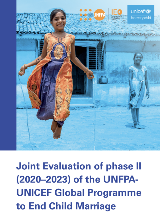 global program joint evaluation phase 2